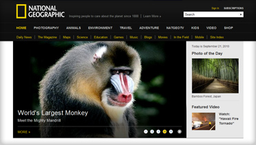 短信炸弹防护业务